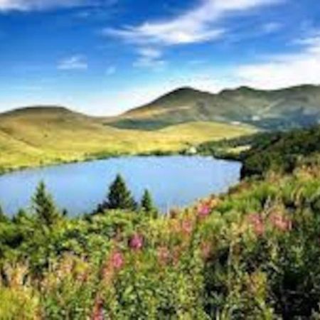 La Grange De La Gratade Villa Rochefort-Montagne Ngoại thất bức ảnh