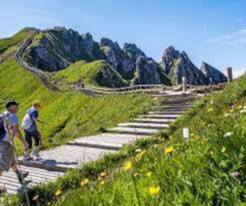 La Grange De La Gratade Villa Rochefort-Montagne Ngoại thất bức ảnh